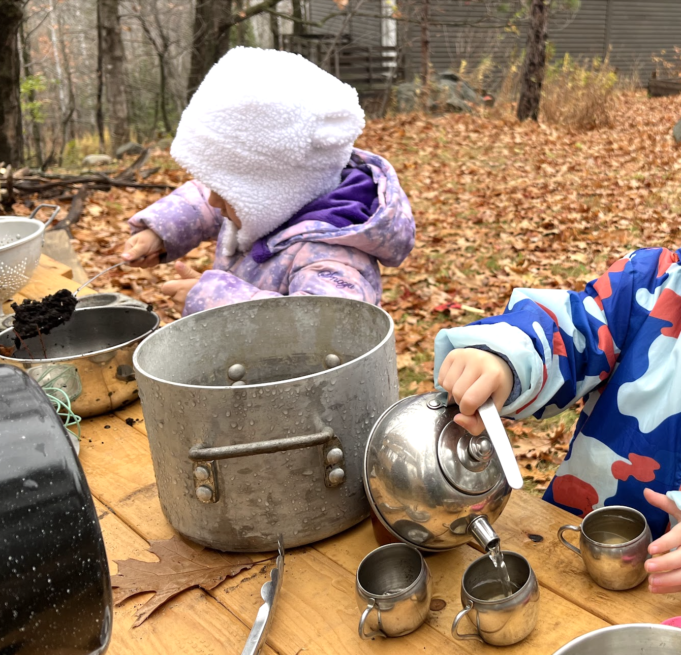Nature school activity